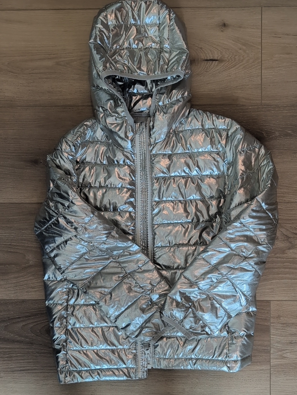 Primary Metallic Silver Hooded Puffer Jacket